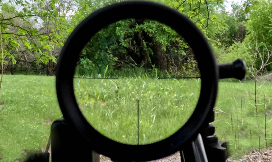 view through the reticle of a rifle scope, aimed at a grassy area with trees in the background. 