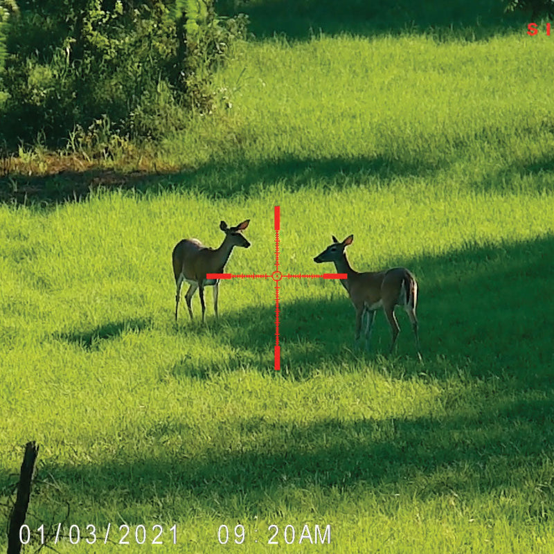Wraith 4K Mini Digital Rifle Scope, 2-16x32mm - 4-32x32mm